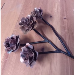 Copper roses